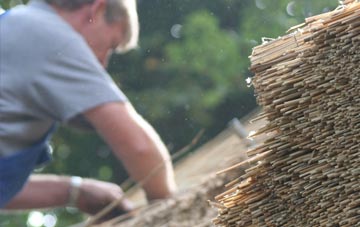 professional Richings Park thatchers